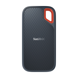 SanDisk SDSSDE60-250G-G25